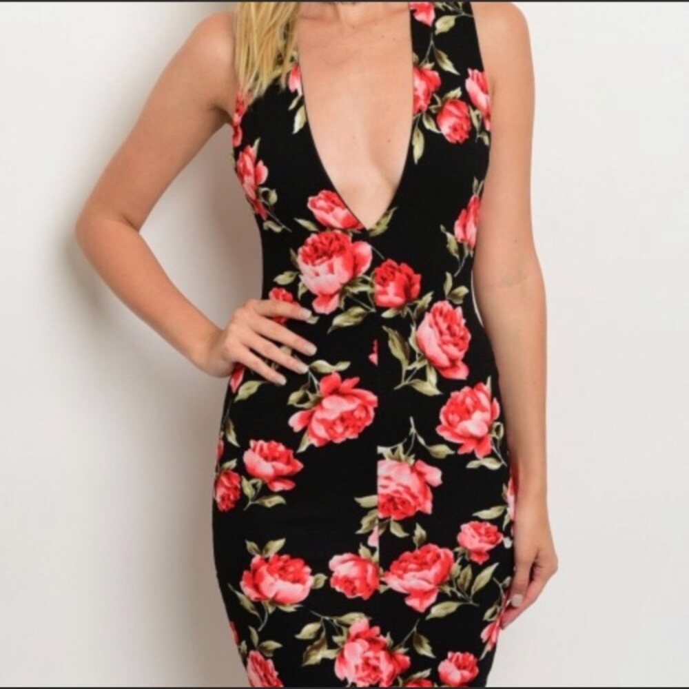 NWT Bodycon Dress!🌹